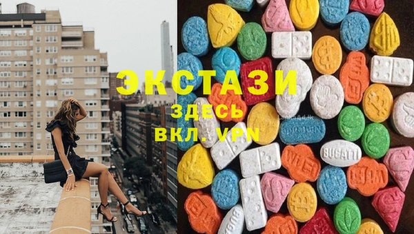 гашик Гусев