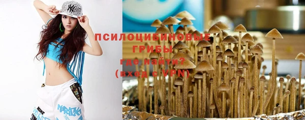 Альфа ПВП Гусиноозёрск